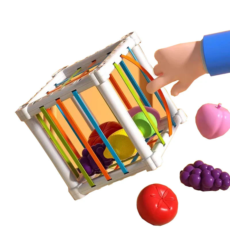 Fruit Box™ - Pujota, leiki, opi - Hedelmät laatikossa