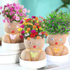 Figure Plants™ - Opi hoitamaan kasveja - Kodin sisustuskasvit