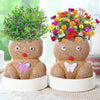 Figure Plants™ - Opi hoitamaan kasveja - Kodin sisustuskasvit