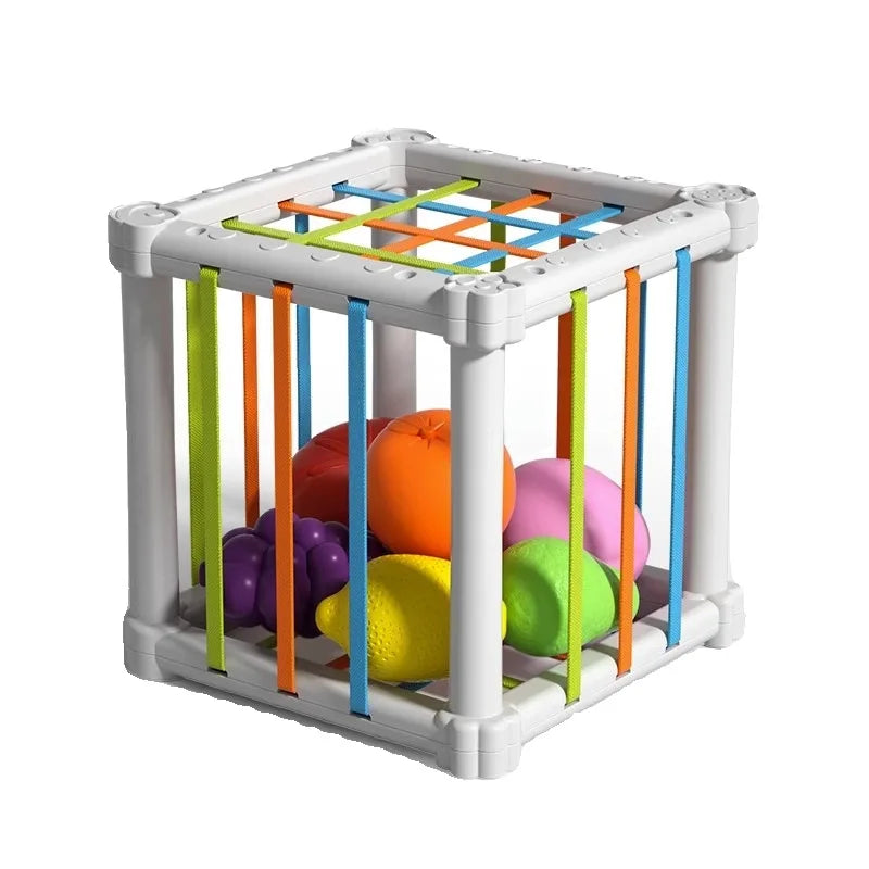 Fruit Box™ - Pujota, leiki, opi - Hedelmät laatikossa