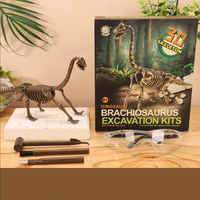 Thumbnail for DinoDig – Jännittävä ja opettavainen – fossiilien kaivauspaketti