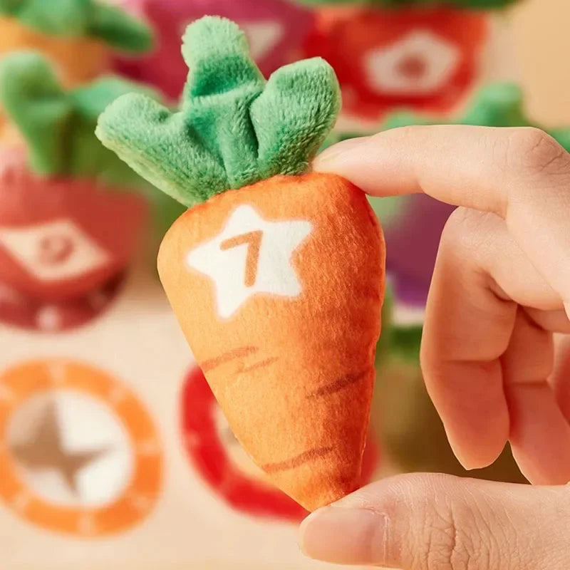Sensory Carrots – Tunnista & poimi – Aistilelu