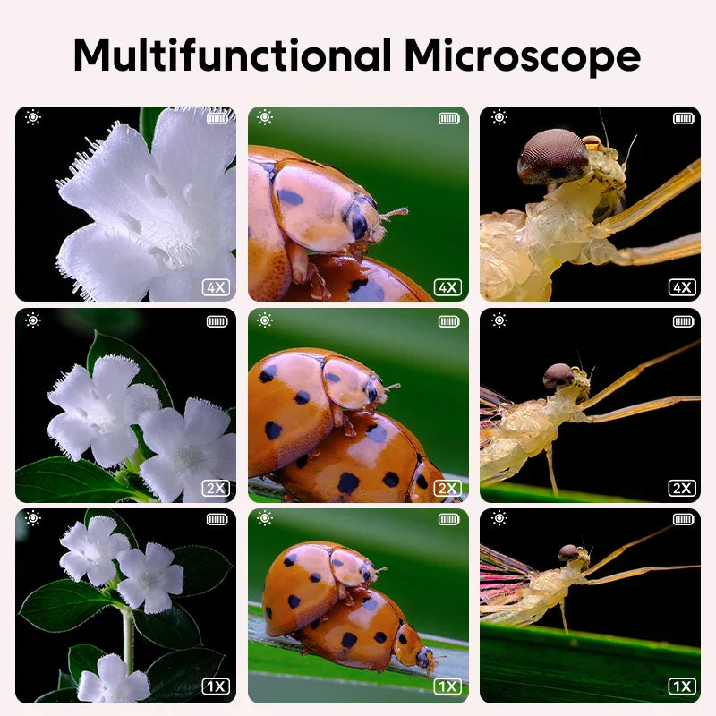 Mini Kids Microscope™ - Tiedettä linssin alla - Mikroskooppi