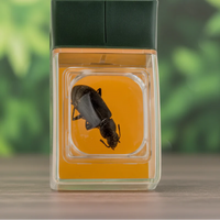 Thumbnail for Bug Catcher with Magnifier – Löydä ja opi – Hyönteisten pyydystin