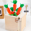 Smart Carrots –  Värit & muodot - Puiset lajittelulelut