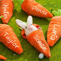 Thumbnail for Personalized Bunny – täydellinen pääsiäislahja – pehmopupu, jossa on nimi