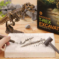 Thumbnail for DinoDig – Jännittävä ja opettavainen – fossiilien kaivauspaketti